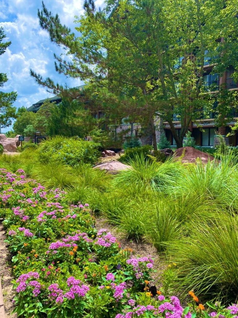 flowers and green plants along Disney's Wilderness Lodge Trails