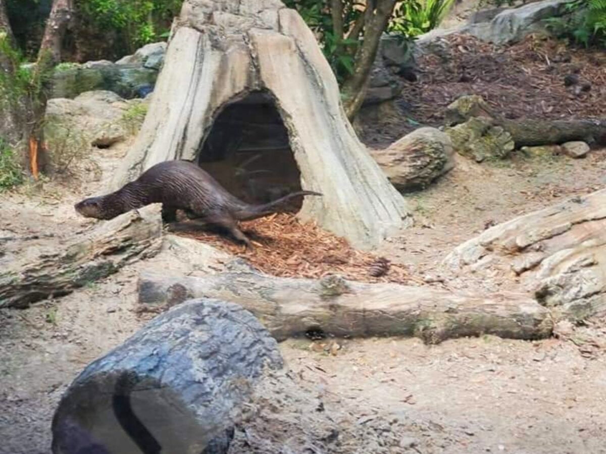 Parent’s Ultimate Guide to Central Florida Zoo Homeschool Classes