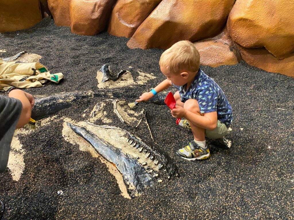 Dig for Dinosaur Bones at Orlando Science Center