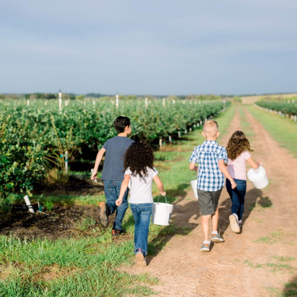 Image of 4 people walking through a field holding buckets at Southern Hill Farms