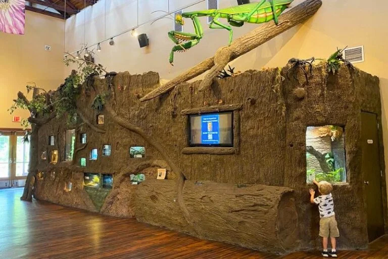 Expert Tips and Things To Do At Central Florida Zoo (For Families