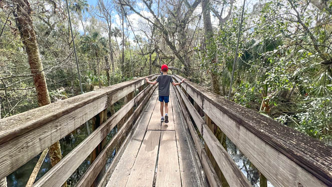 a young boy crosses bridge at Hillsborough River State Park
