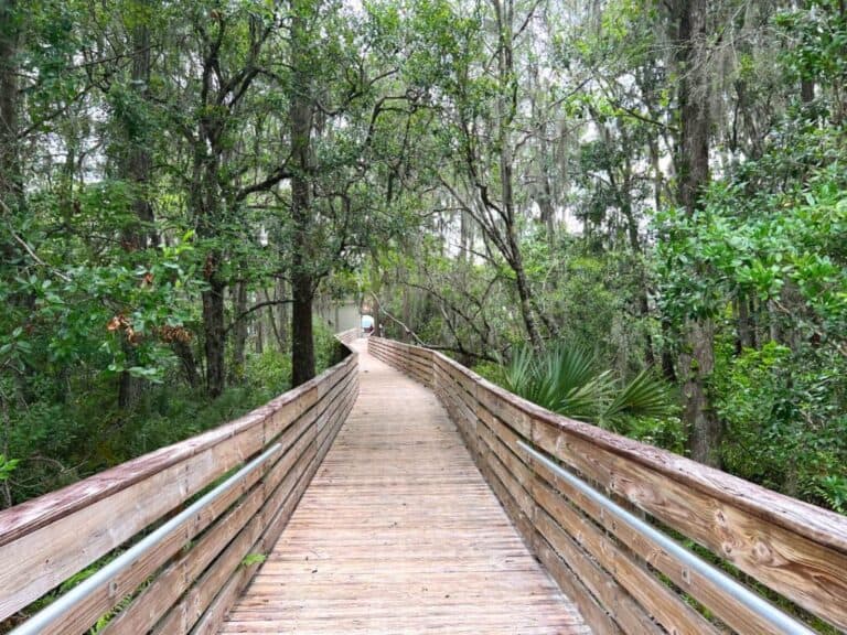 Best Florida State Parks for Kids Near Orlando