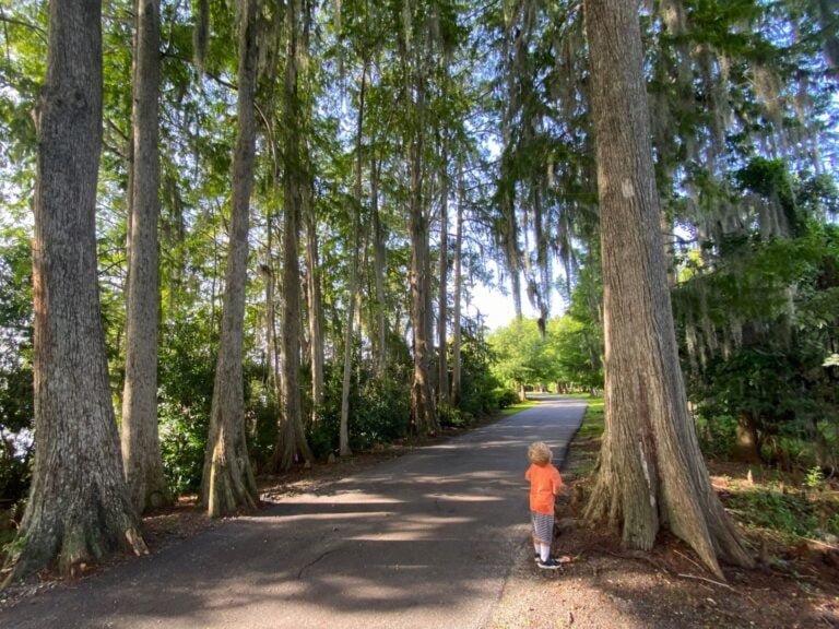 Family Mental Health: 5 Places to Connect with Nature