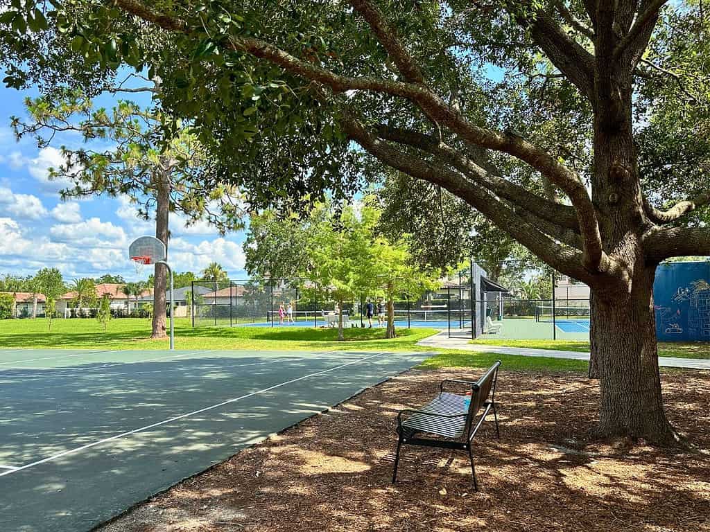 Basketball and Tennis at Phelps Park Winter Park Orlando
