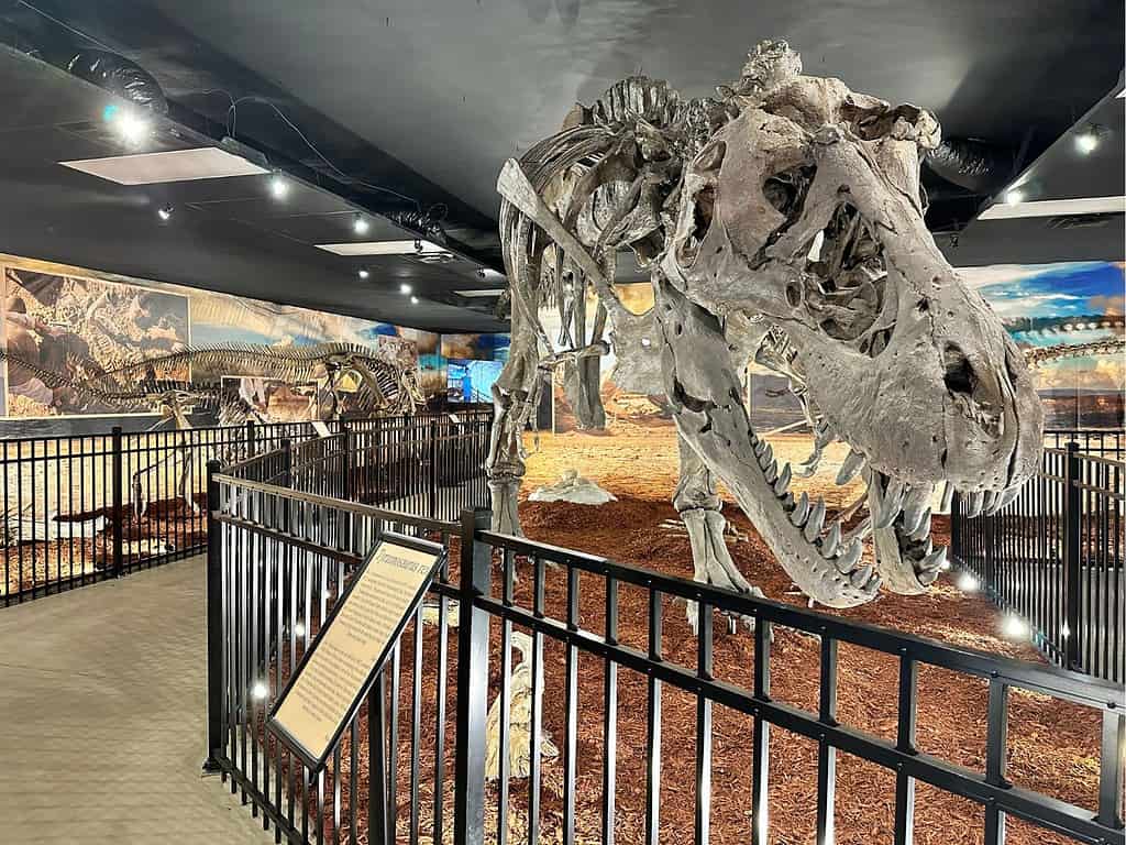 New Doom of the Dinosaurs Exhibit at Dinosaur World