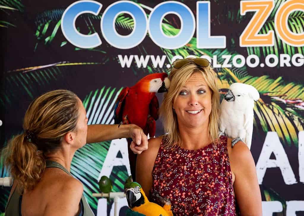 A woman poses for photo with two parrots on her shoulders during Cool Zoo Orlando Parrot Encounter 