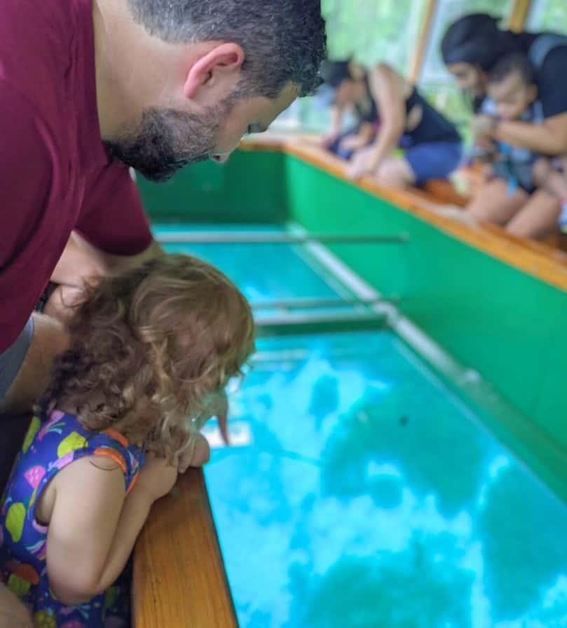 Father and Daughter Aboard Glass Bottom Boat Silver Springs Florida State Park 