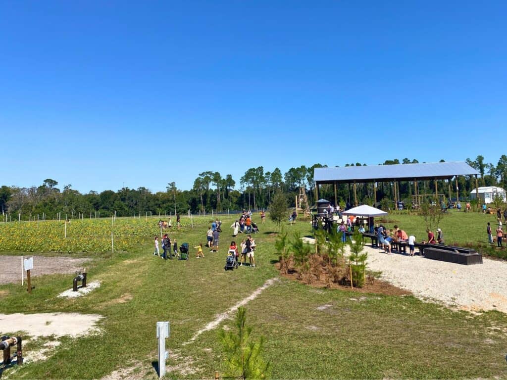families and guests enjoy Amber Brooke Farm Eustis Fall Festival