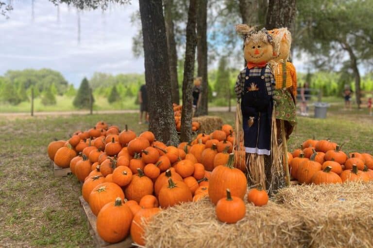 The Best Family Friendly Fall Events in Orlando