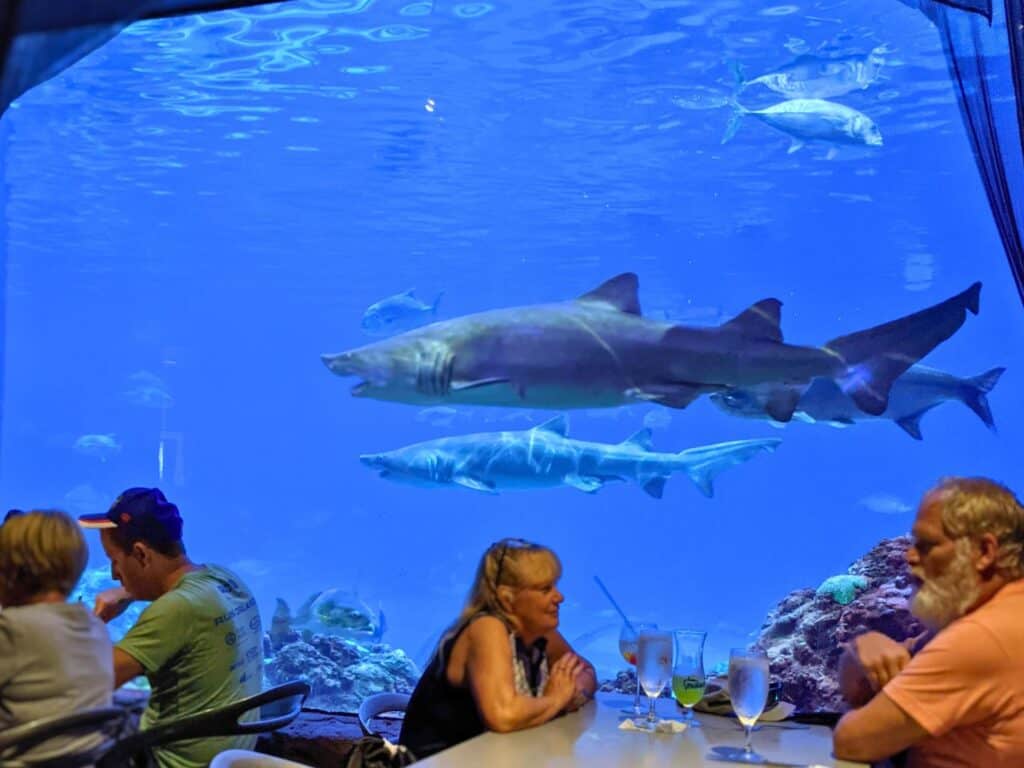 dining room with view of shark tank at Sharks Underwater Grill SeaWorld Magical Dining Restaurants 