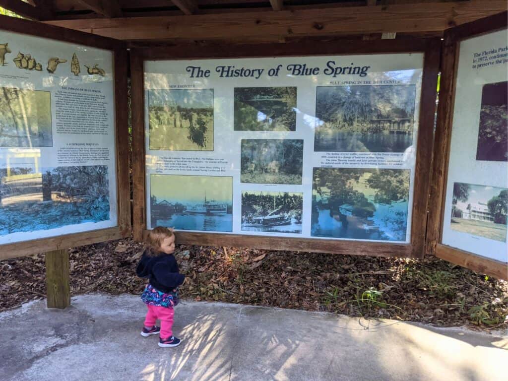 a young child stands and looks at the Blue Spring State Park History Display 