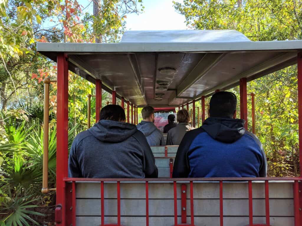 view from middle rows of Express Train at Gatorland Orlando