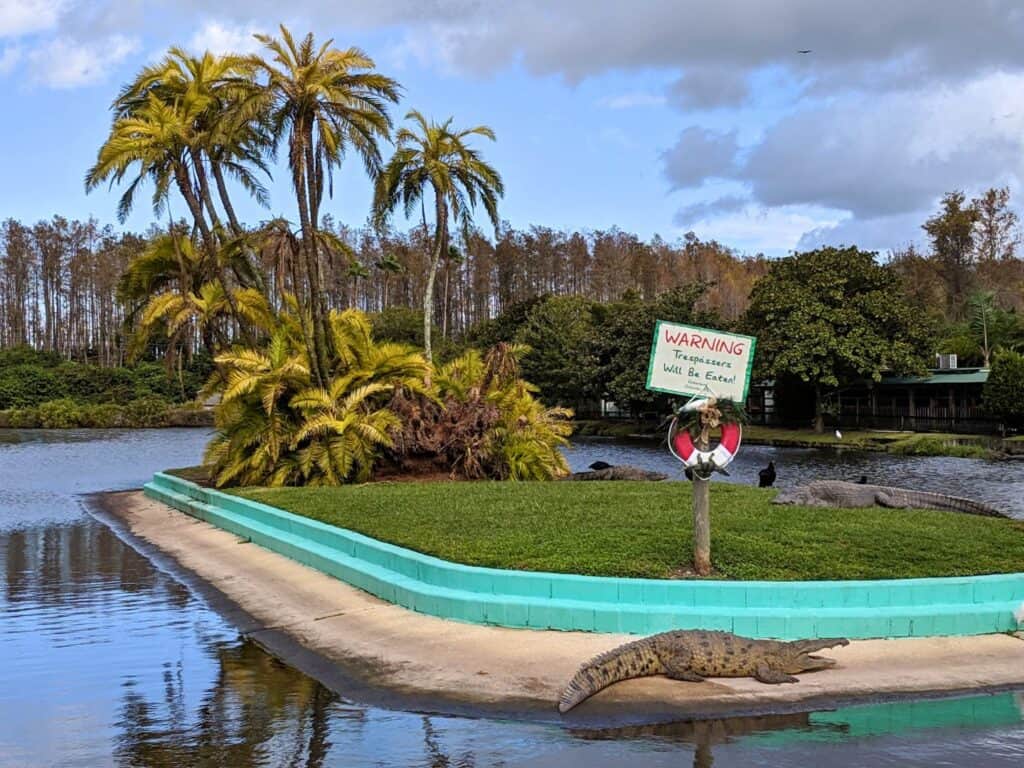 a small group of gators sits on a concrete island at an Orlando Gatorland Gator Habitat 