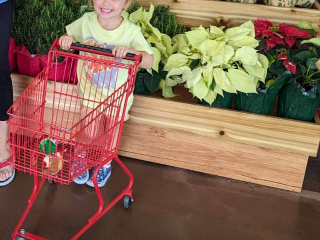 Child Shopping in Orlando to Help with Thanksgiving 