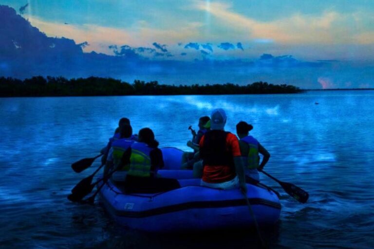 How to Experience a Bioluminescence Tour Near Orlando with Kids