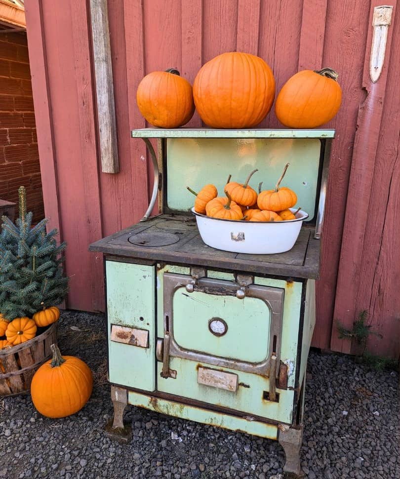 Pumpkin on display on top of a vintage oven 