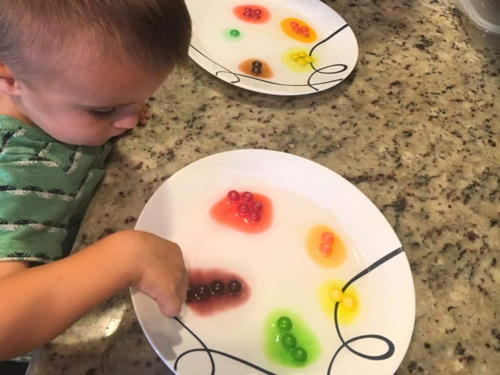 Young Boy Conducts Rainbow Skittle Experiment with Halloween Candy in Orlando 