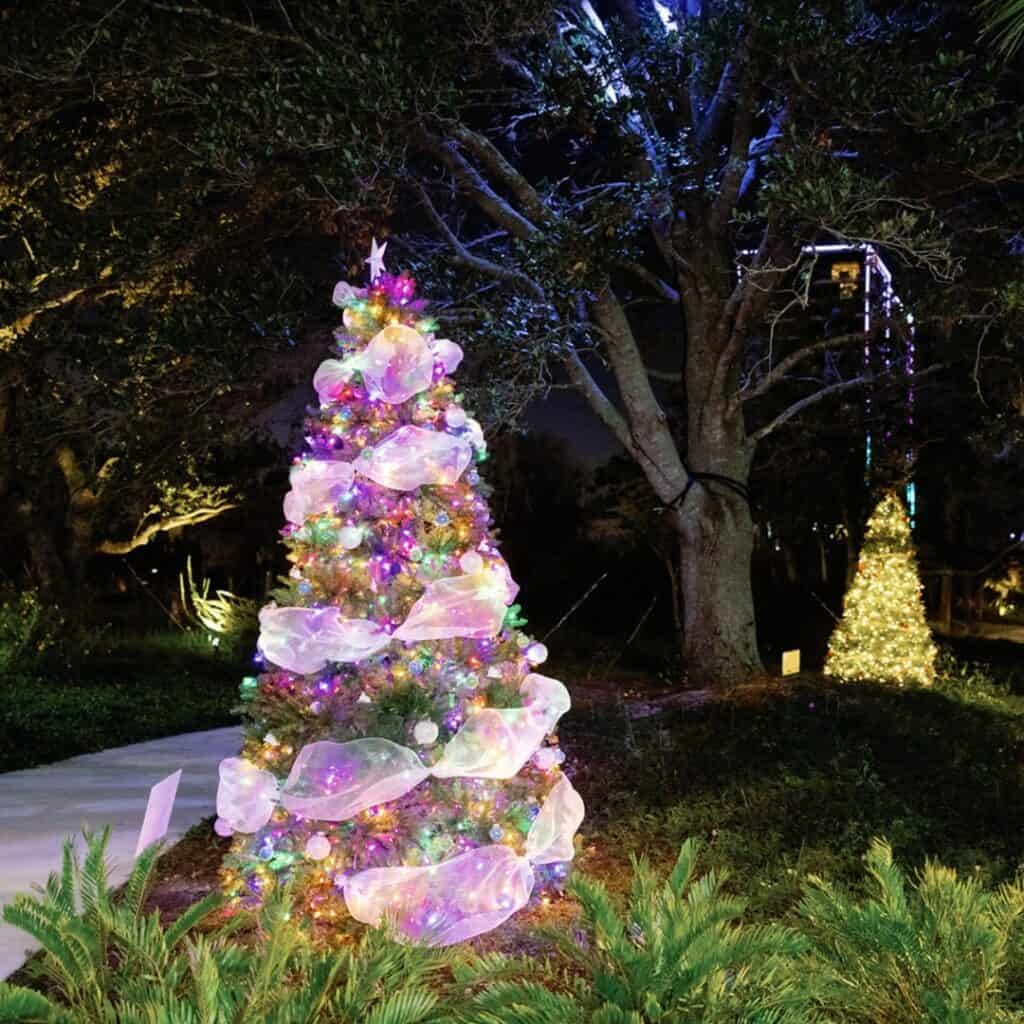Evergreen Tree Trail in Lake Nona lit up at night