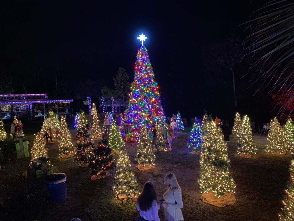 Wekiva Island Winter Wonderland Christmas Trees at night