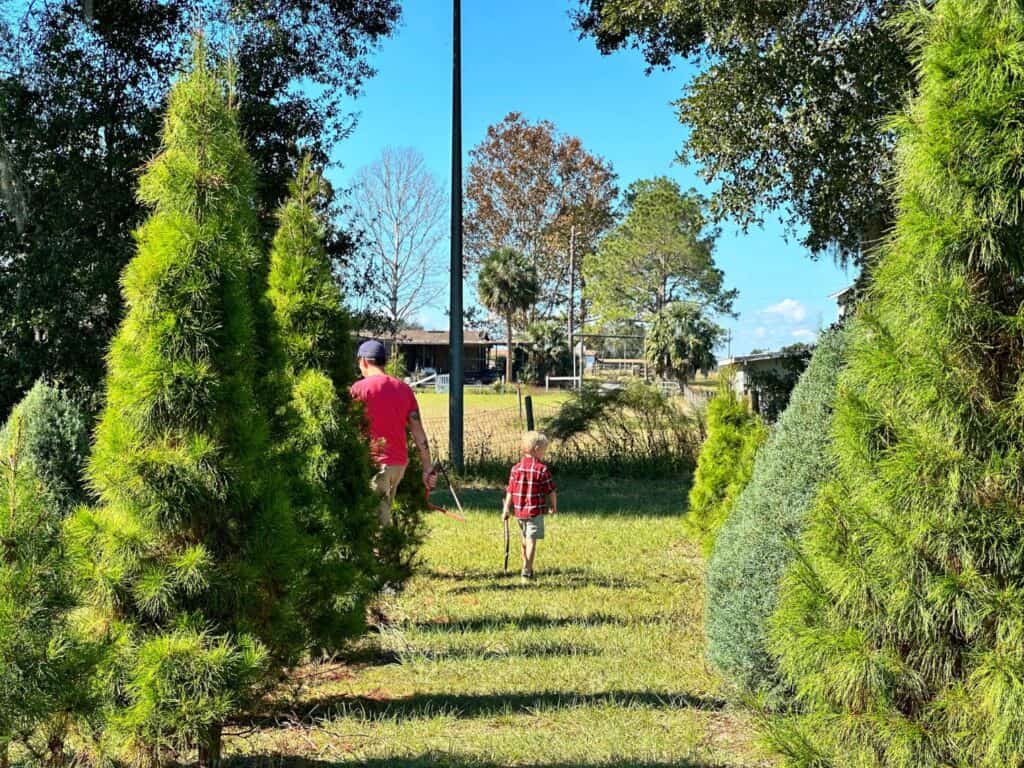 Young Boy and His Father Walking Through Christmas Tree forest at Santa's Farm Orlando 