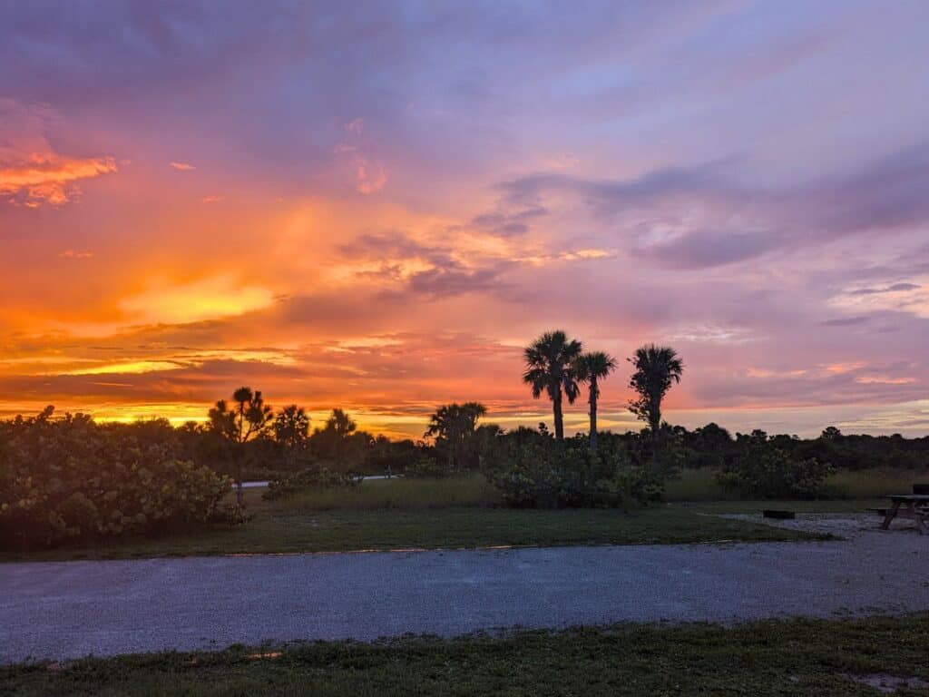Image of sunset with palm trees at Jonathan Dickinson State Park