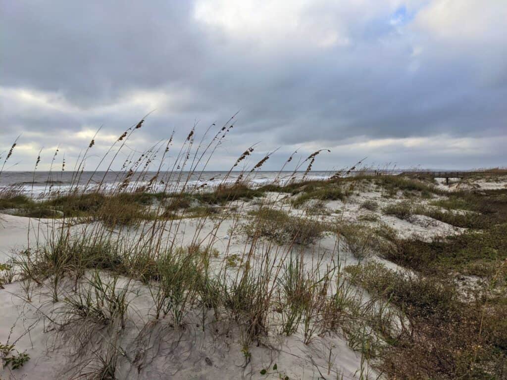 Image of the sand dunes and ocean in Jekyll Island, GA