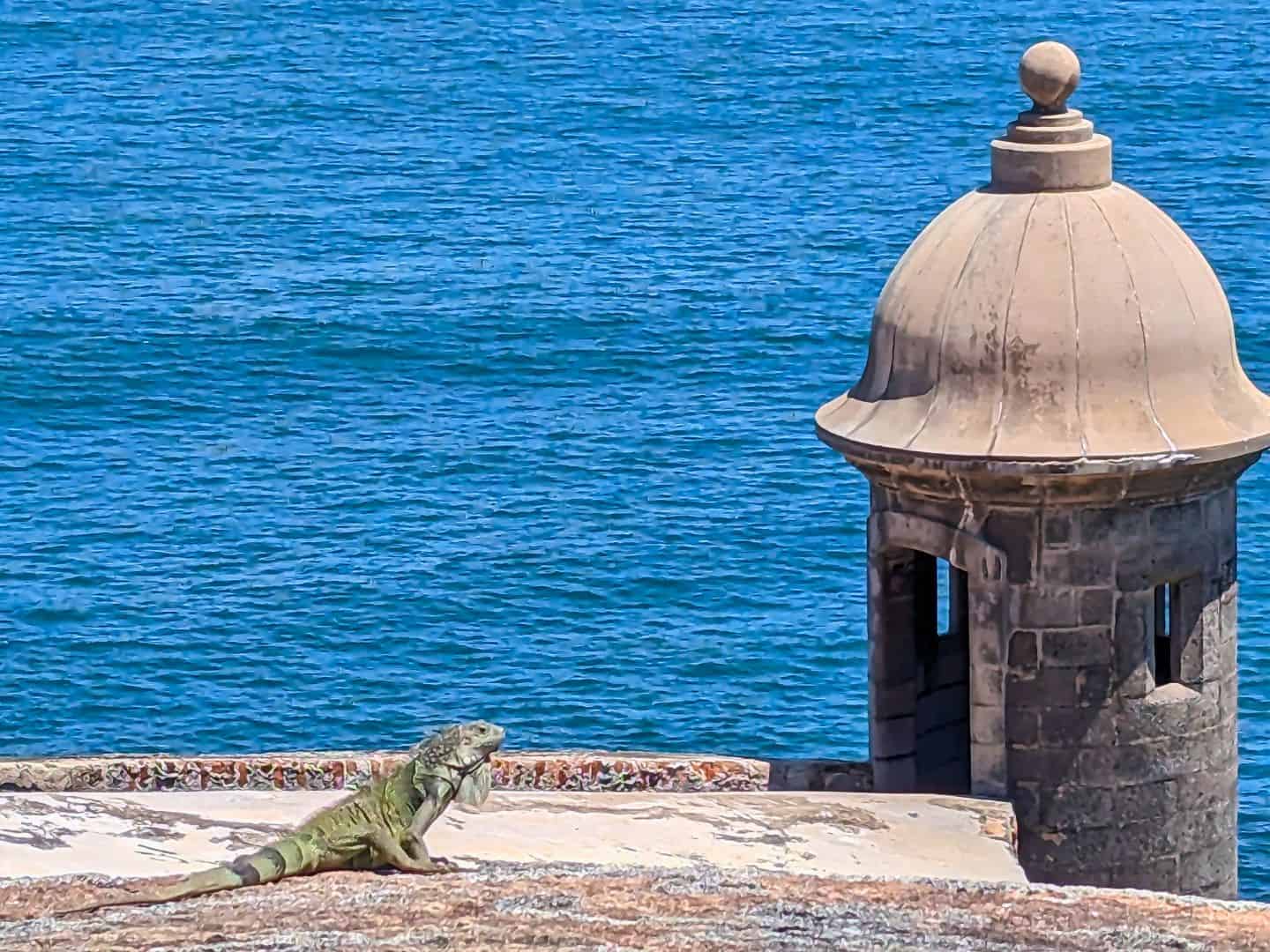 Image of a historic fort on the water in Puerto Rico