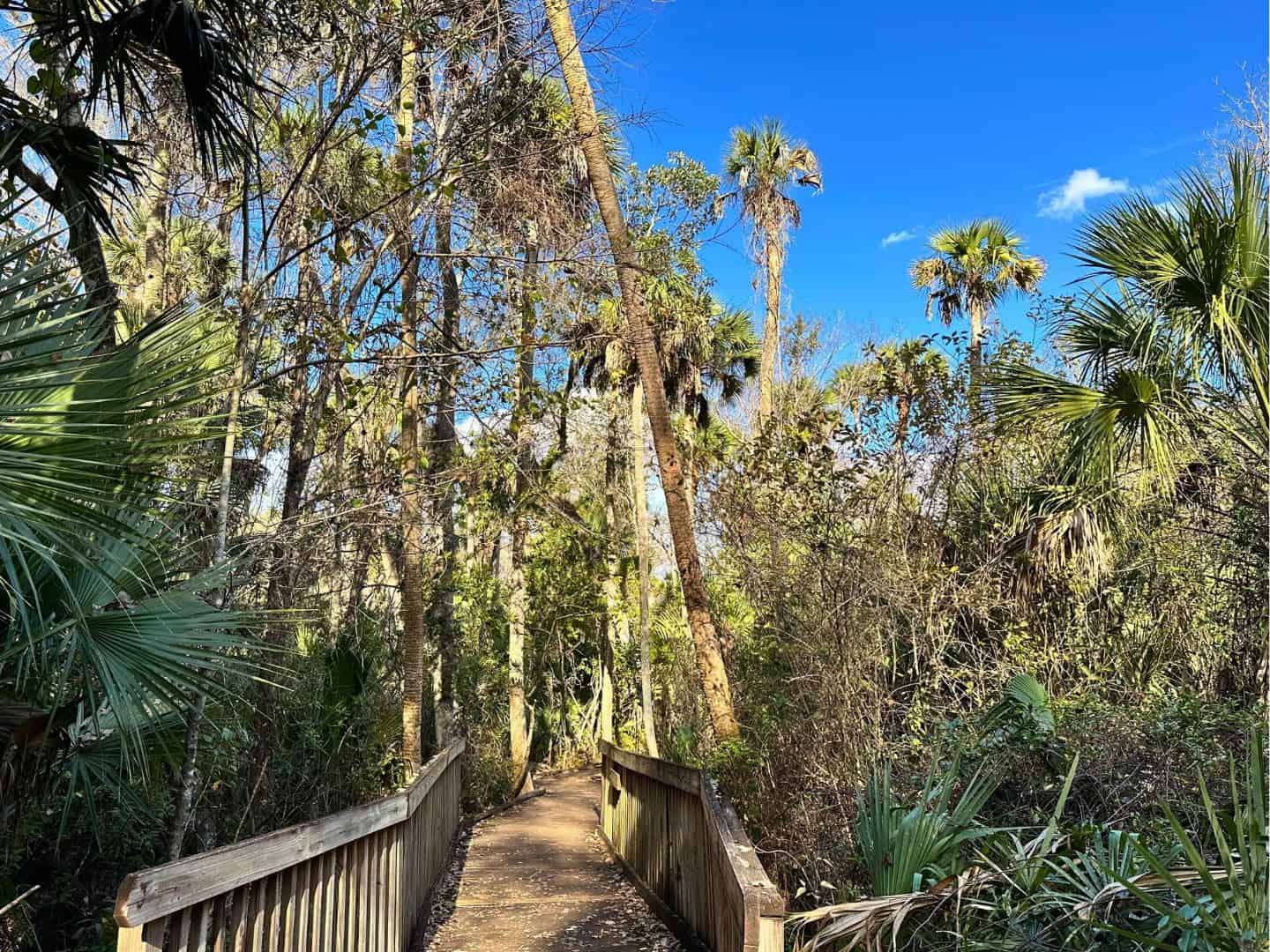 Spring Park Fl Best Florida State Parks for Kids Near Orlando - Orlando Parenting Magazine