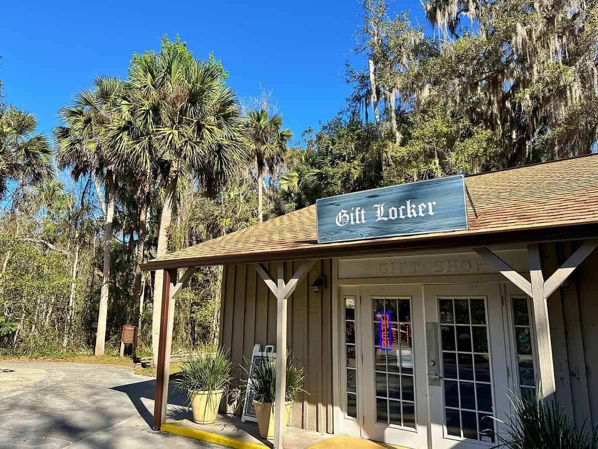 5 Essential Tips for Seeing Manatees at Blue Spring State Park