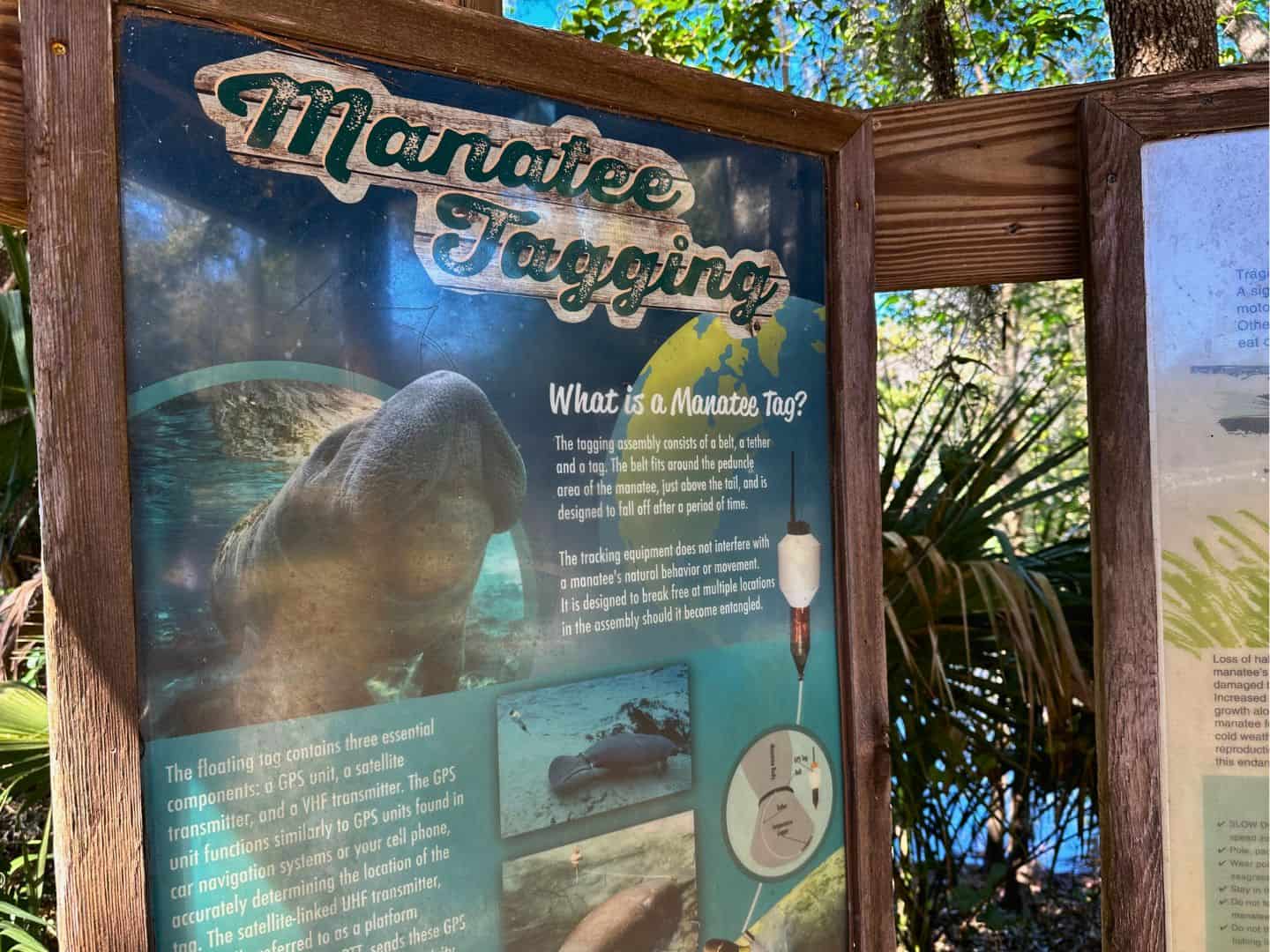 Exciting First Manatee South County Tag Agency Images