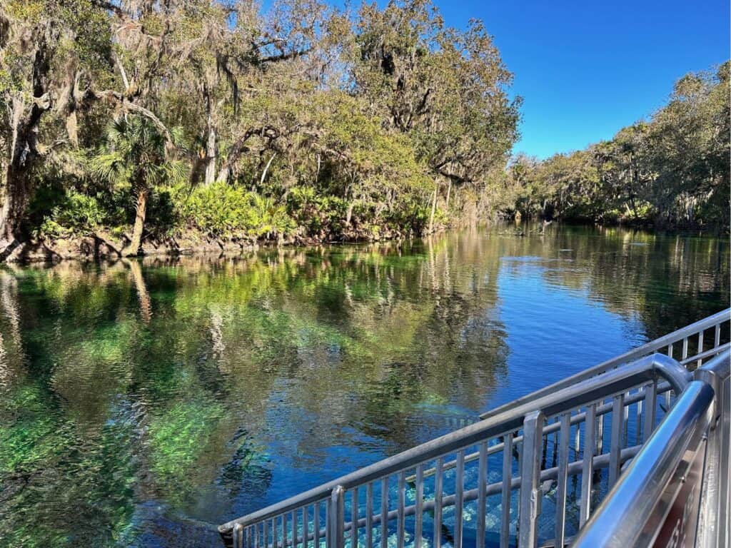 Swimming Area at Blue Spring State Park Near Orlando