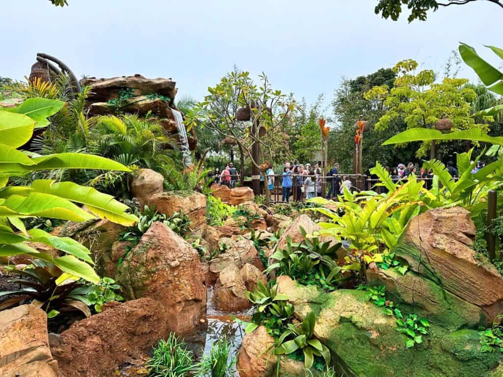 Waterfall and Plants at Journey of Water Moana in EPCOT - image by Dani Meyering