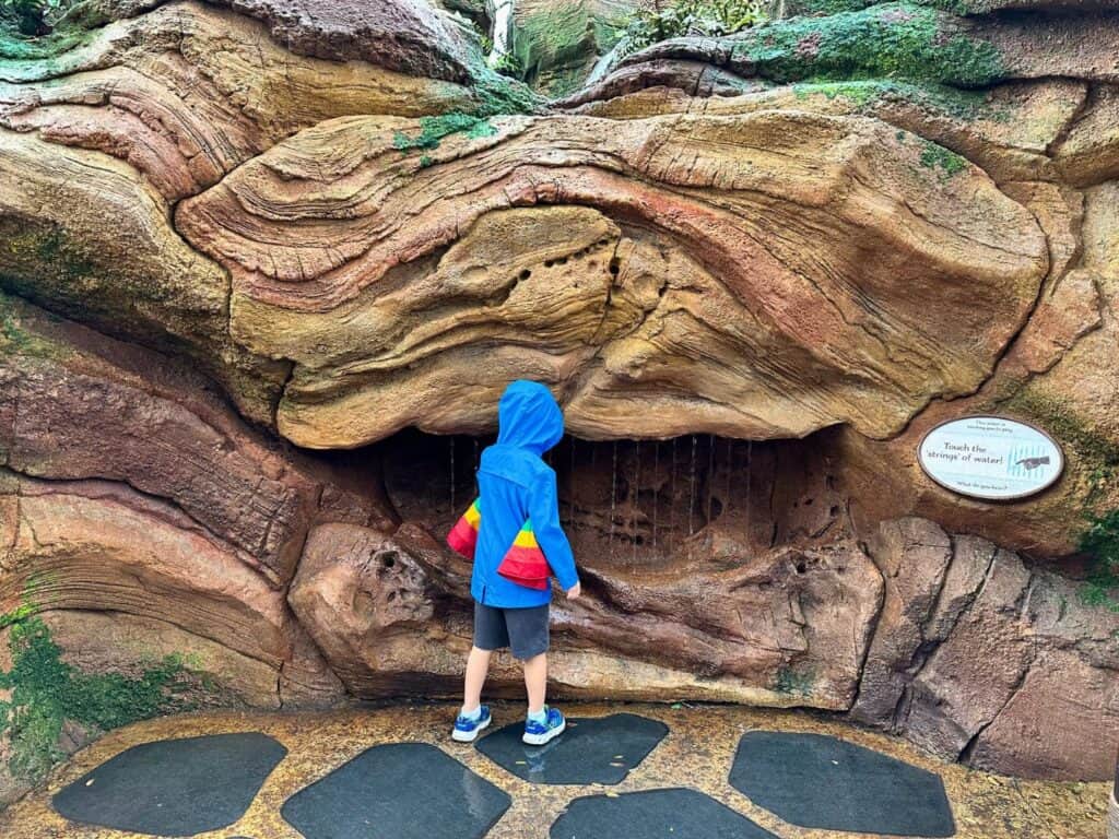 Young Boy at First Play Area Journey of Water Moana at EPCOT - image by Dani Meyering
