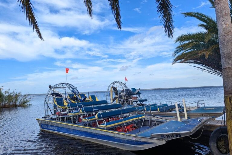 Airboats Docked at Black Hammock Airboat Ride