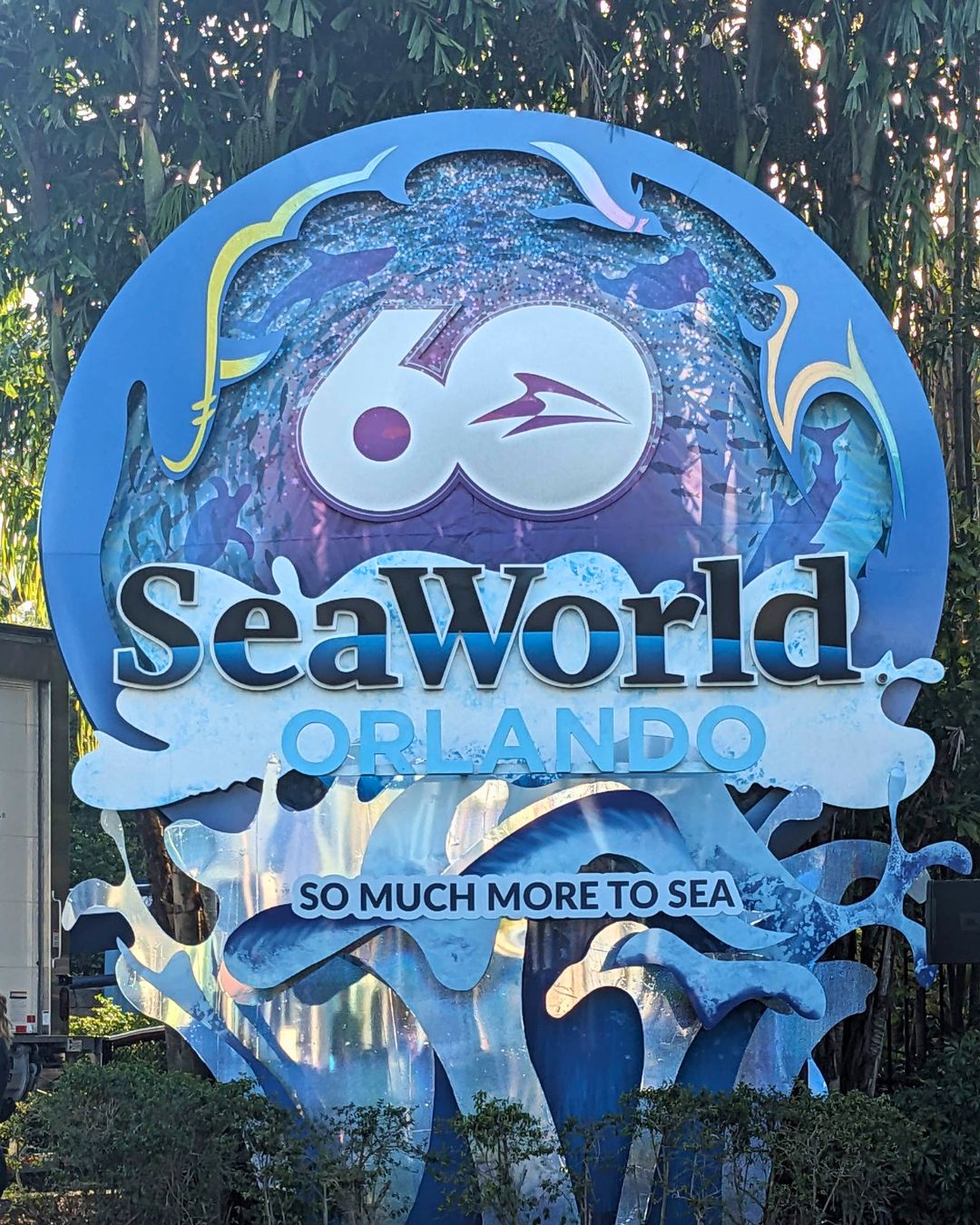 SeaWorld Orlando’s 60th Anniversary: Special Events, Offers, and ...