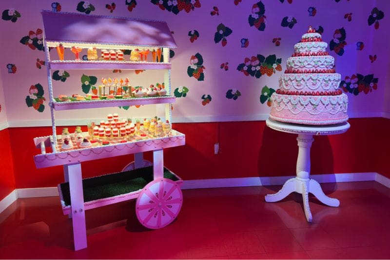 The Strawberry Room at FloridaRama - image by Hailea Boykin