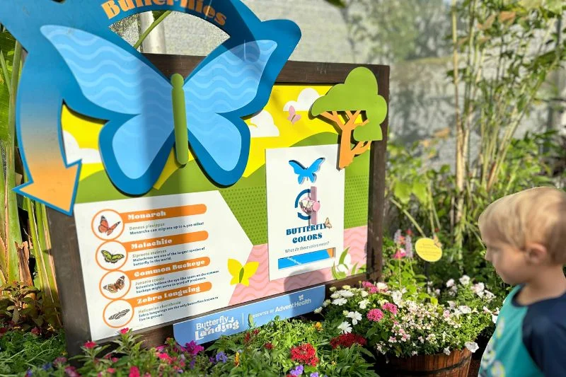 Young Boy Looking at Sign Inside Butterfly Garden at EPCOT -