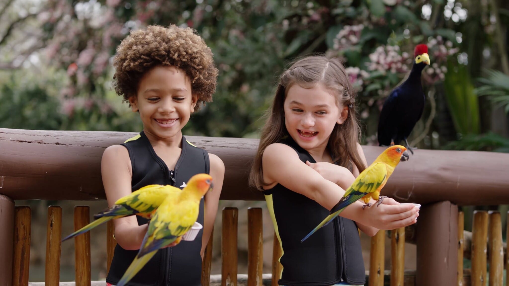 Two kids at Discovery Cove feeding birds - image provided by Discovery Cove