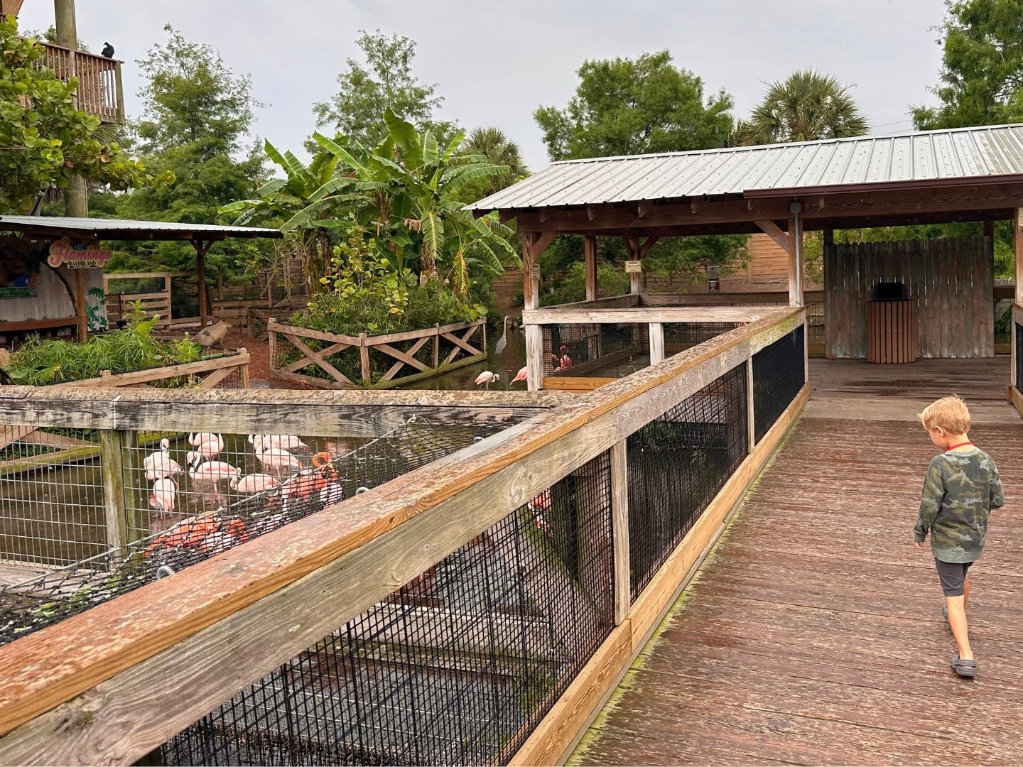 Unleash A Day of Adventure and Family Fun at Gatorland Orlando ...