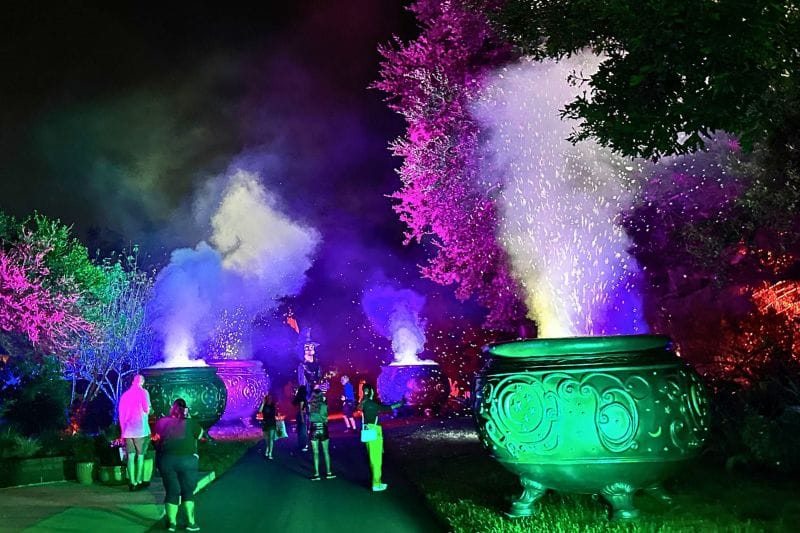 Brew Bash Witch dance party Happy Frights Leu Gardens