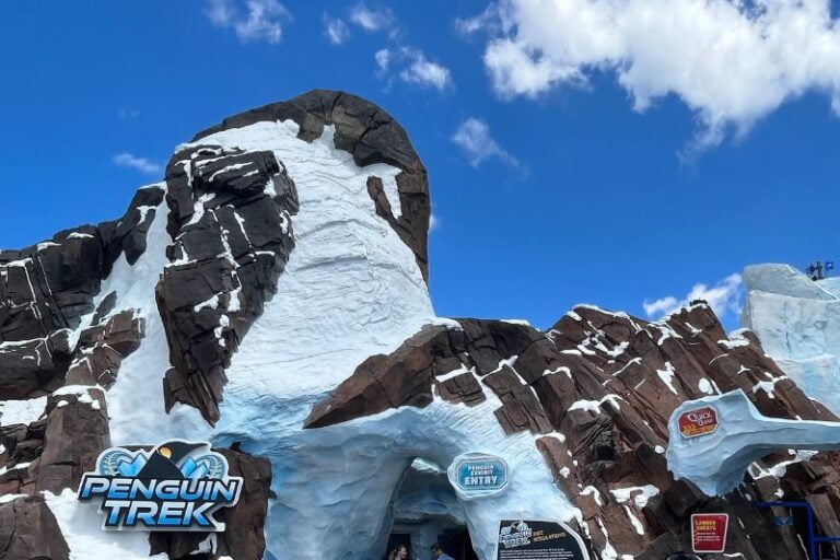 A Parent’s Guide to SeaWorld Orlando Penguin Trek Coaster
