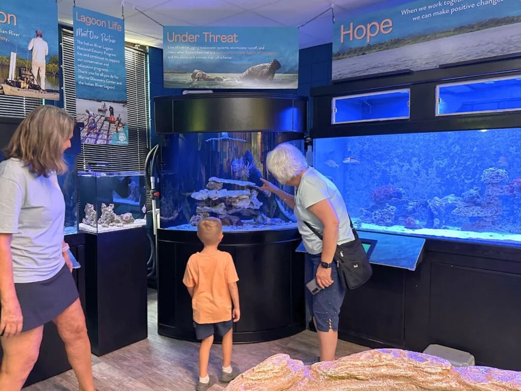 young boy and grandmother visit Marine Discovery Center in New Smyrna Beach 