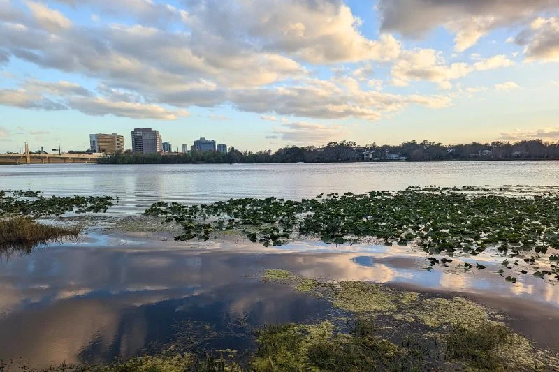 lake ivanhoe in orlando at sunset