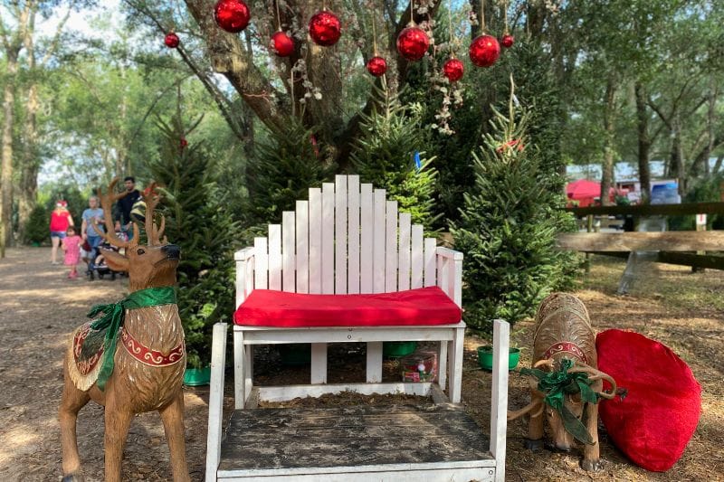 Affordable Things to Do Christmas Orlando Kids Santa's Farm Reindeer Photo Op -