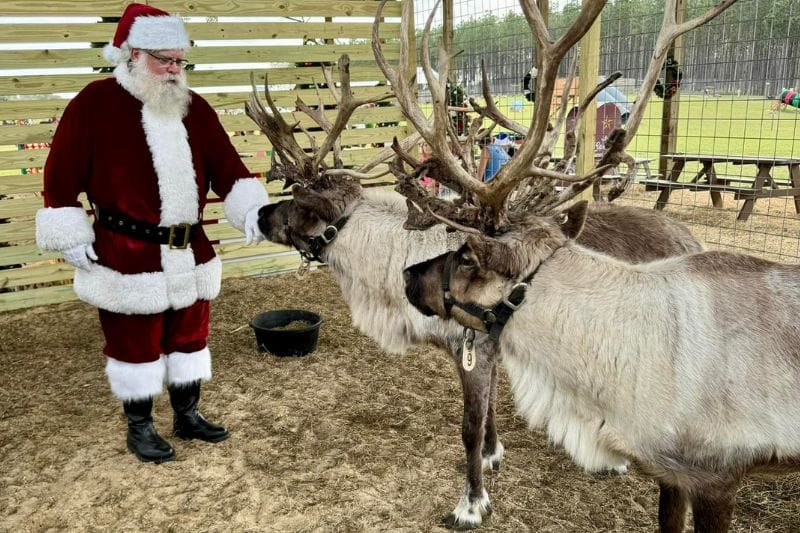 Santa visits real reindeer at Mayhem Ranch in Florida