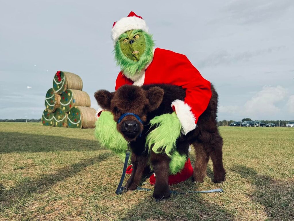 The Grinch at Mayhem Ranch