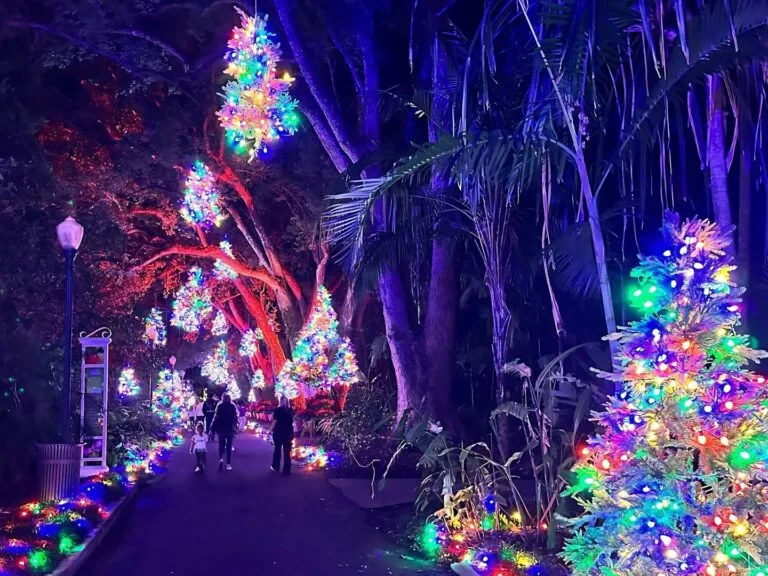 families walk through Awe in the Air at Dazzling Nights Leu Gardens 2024 christmas trees overhead - image by Dani Meyering