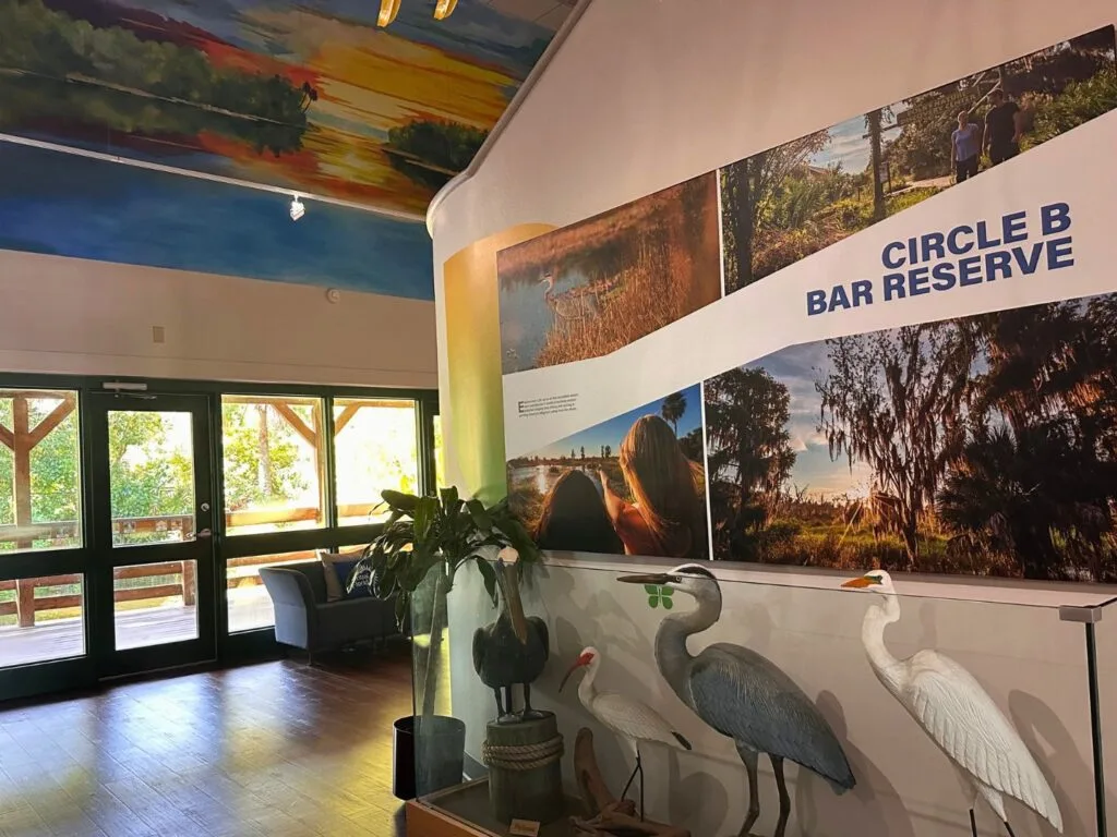 egrets and nature display Free Museum at Visit Central Florida Welcome Center - image by Dani Meyering