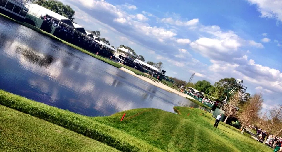 The course is visually appealing for all ages.